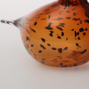 Birds Pekkasiini コッパーブラウン 0095