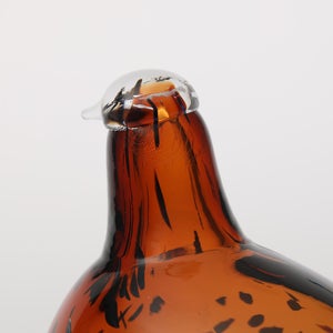 Birds Pekkasiini コッパーブラウン 0103