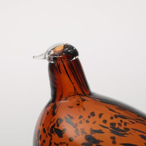 Birds Pekkasiini コッパーブラウン 0118