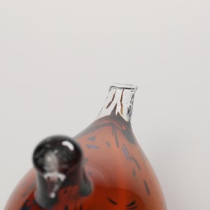 Birds Pekkasiini コッパーブラウン 0143