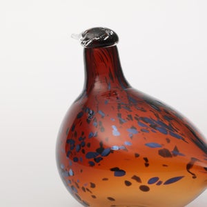 Birds Pekkasiini コッパーブラウン 0156