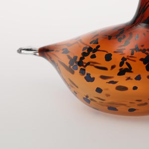 Birds Pekkasiini コッパーブラウン 0185