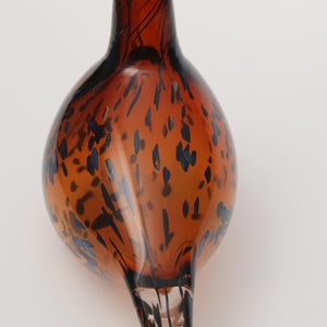 Birds Pekkasiini コッパーブラウン 0197