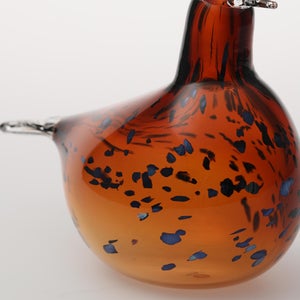 Birds Pekkasiini コッパーブラウン 0251