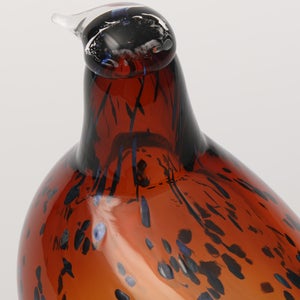 Birds Pekkasiini コッパーブラウン 0262