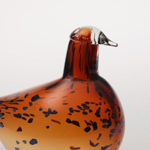 Birds Pekkasiini コッパーブラウン 0263