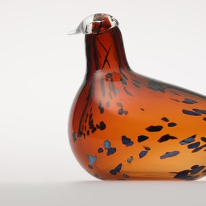 Birds Pekkasiini コッパーブラウン 0279