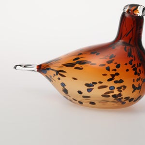 Birds Pekkasiini コッパーブラウン 0283