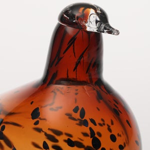 Birds Pekkasiini コッパーブラウン 0288