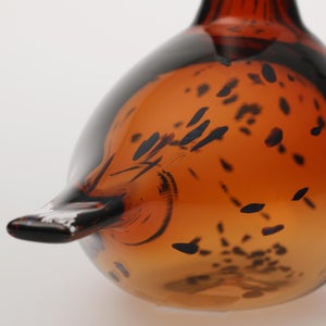 Birds Pekkasiini コッパーブラウン 0093