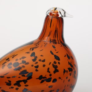 Birds Pekkasiini コッパーブラウン 0103