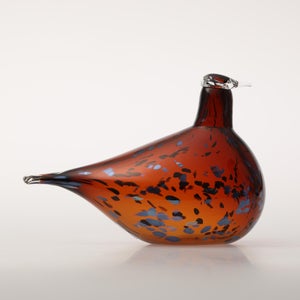 Birds Pekkasiini コッパーブラウン 0001