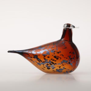 Birds Pekkasiini コッパーブラウン 0002