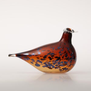 Birds Pekkasiini コッパーブラウン 0004