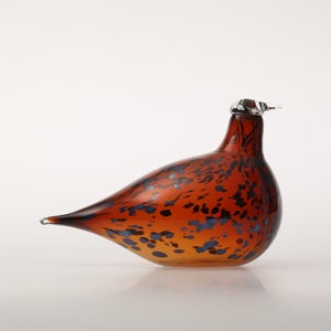 Birds Pekkasiini コッパーブラウン 0006