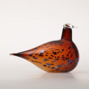 Birds Pekkasiini コッパーブラウン 0007