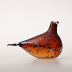 Birds Pekkasiini コッパーブラウン 0008