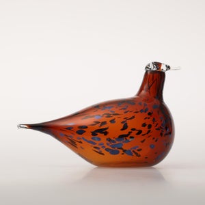 Birds Pekkasiini コッパーブラウン 0009