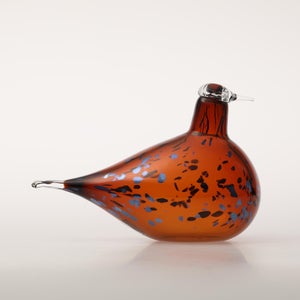 Birds Pekkasiini コッパーブラウン 0010