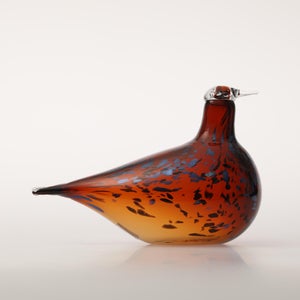 Birds Pekkasiini コッパーブラウン 0011