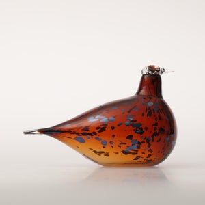 Birds Pekkasiini コッパーブラウン 0016