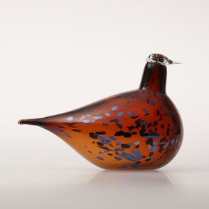 Birds Pekkasiini コッパーブラウン 0017