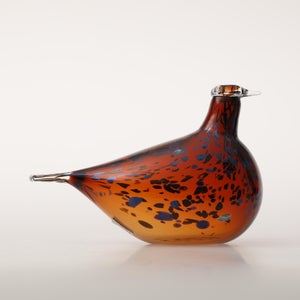 Birds Pekkasiini コッパーブラウン 0018