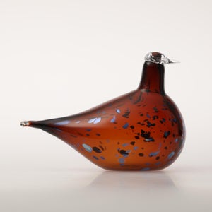 Birds Pekkasiini コッパーブラウン 0020