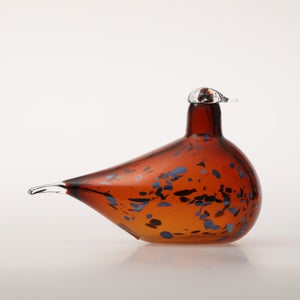 Birds Pekkasiini コッパーブラウン 0021