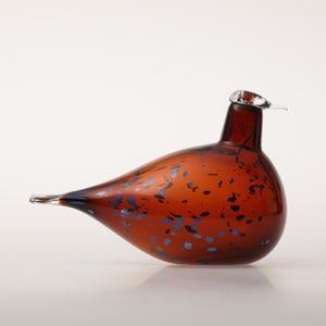 Birds Pekkasiini コッパーブラウン 0022