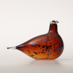 Birds Pekkasiini コッパーブラウン 0023