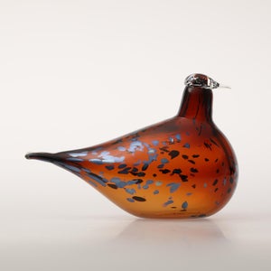 Birds Pekkasiini コッパーブラウン 0024