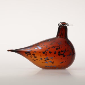 Birds Pekkasiini コッパーブラウン 0025