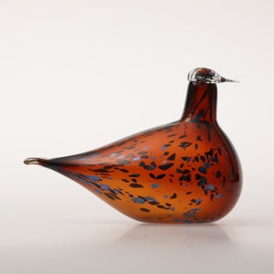 Birds Pekkasiini コッパーブラウン 0028