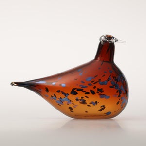 Birds Pekkasiini コッパーブラウン 0030