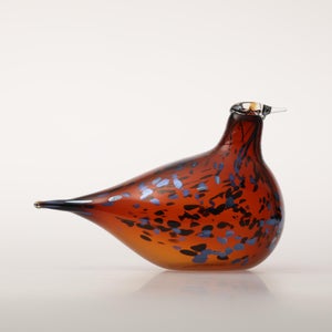 Birds Pekkasiini コッパーブラウン 0031