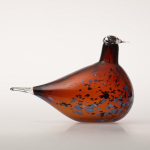 Birds Pekkasiini コッパーブラウン 0032