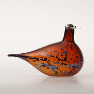 Birds Pekkasiini コッパーブラウン 0033