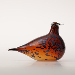 Birds Pekkasiini コッパーブラウン 0034