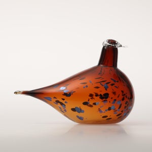 Birds Pekkasiini コッパーブラウン 0035