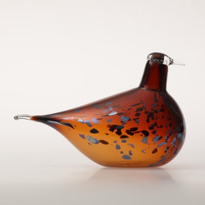 Birds Pekkasiini コッパーブラウン 0036