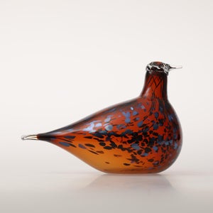 Birds Pekkasiini コッパーブラウン 0037