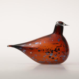 Birds Pekkasiini コッパーブラウン 0038