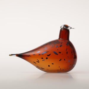 Birds Pekkasiini コッパーブラウン 0039