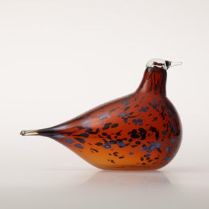 Birds Pekkasiini コッパーブラウン 0040