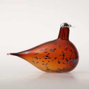 Birds Pekkasiini コッパーブラウン 0041