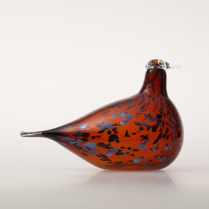 Birds Pekkasiini コッパーブラウン 0042