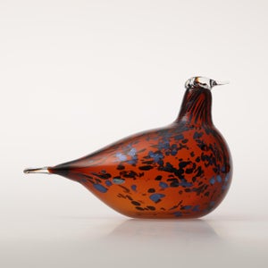 Birds Pekkasiini コッパーブラウン 0044