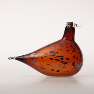 Birds Pekkasiini コッパーブラウン 0045