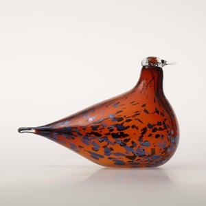 Birds Pekkasiini コッパーブラウン 0047